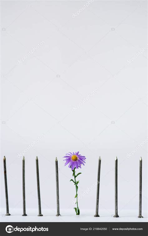 How to Draw Flowers that Stand Out From the Crowd.